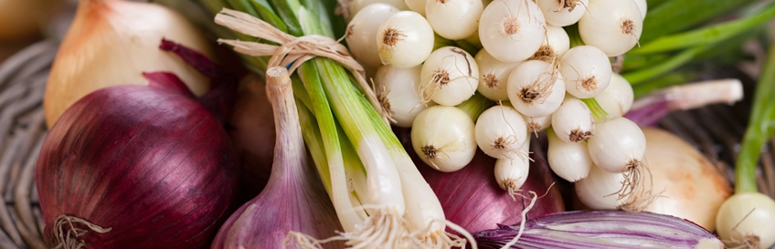 Onion & Garlic