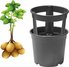 Potatiskruka Potato Pot + fat - perfekt för hinkodling