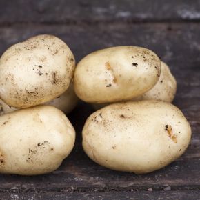 Bild på snarlik potatis