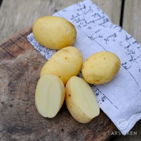 Annabelle sättpotatis, sommar, 1 kg - smörig smak av nöt & kastanj 