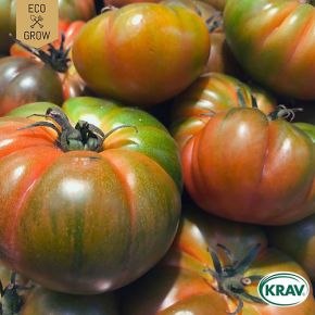 Tomat Cassio KRAV, bifftomat, fröer 