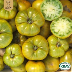 Tomat Charlie Green KRAV, bifftomat, fröer 