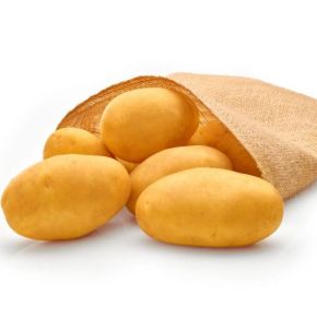 Potatis Octa 