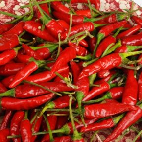 Chili Thai Hot, fröer - kort datum (okt 24)