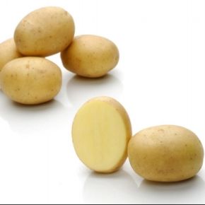 Potatis Lea