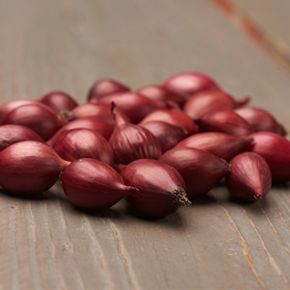 Sättlök Karmen, rödlök 250 gram (Seed onion)