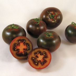 Frö tomat Bombonera