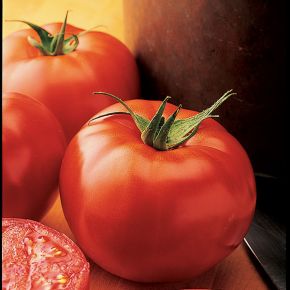 Tomatfrö, tomat New Yorker