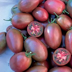 Tomatfrö, tomat Purple Russian