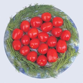 Frö tomat Sweet Olive