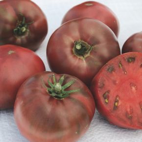 Tomatfröer tomat Carbon